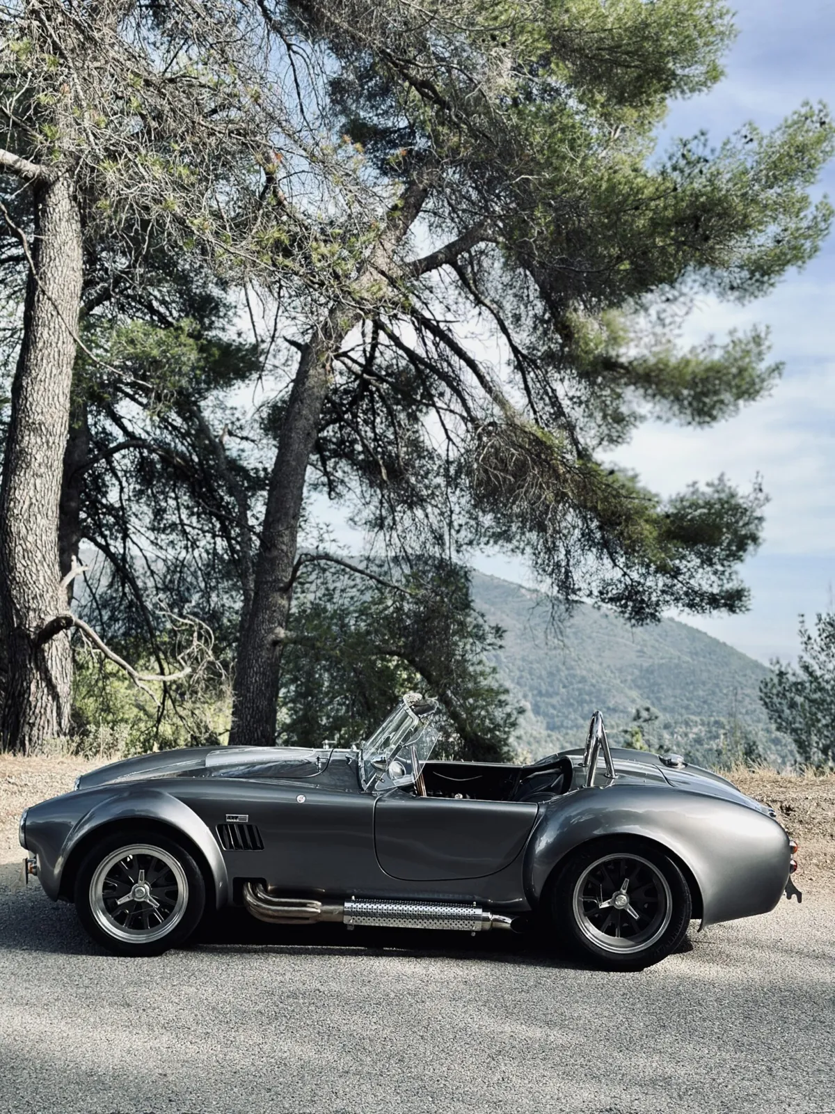 Shelby AC Cobra (6)