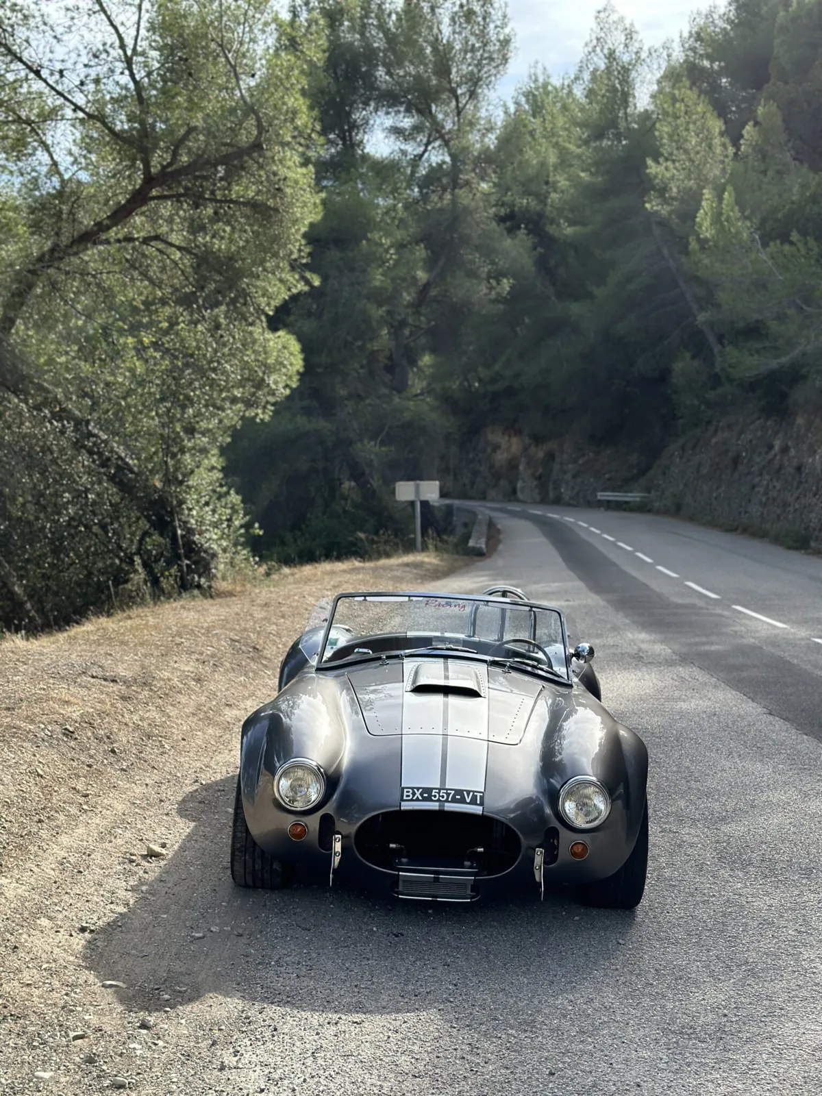 Shelby AC Cobra (7)