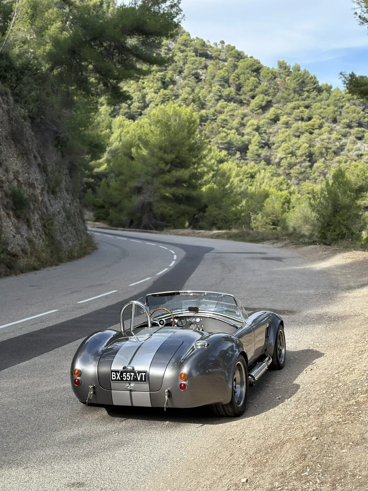 Shelby AC Cobra (8)
