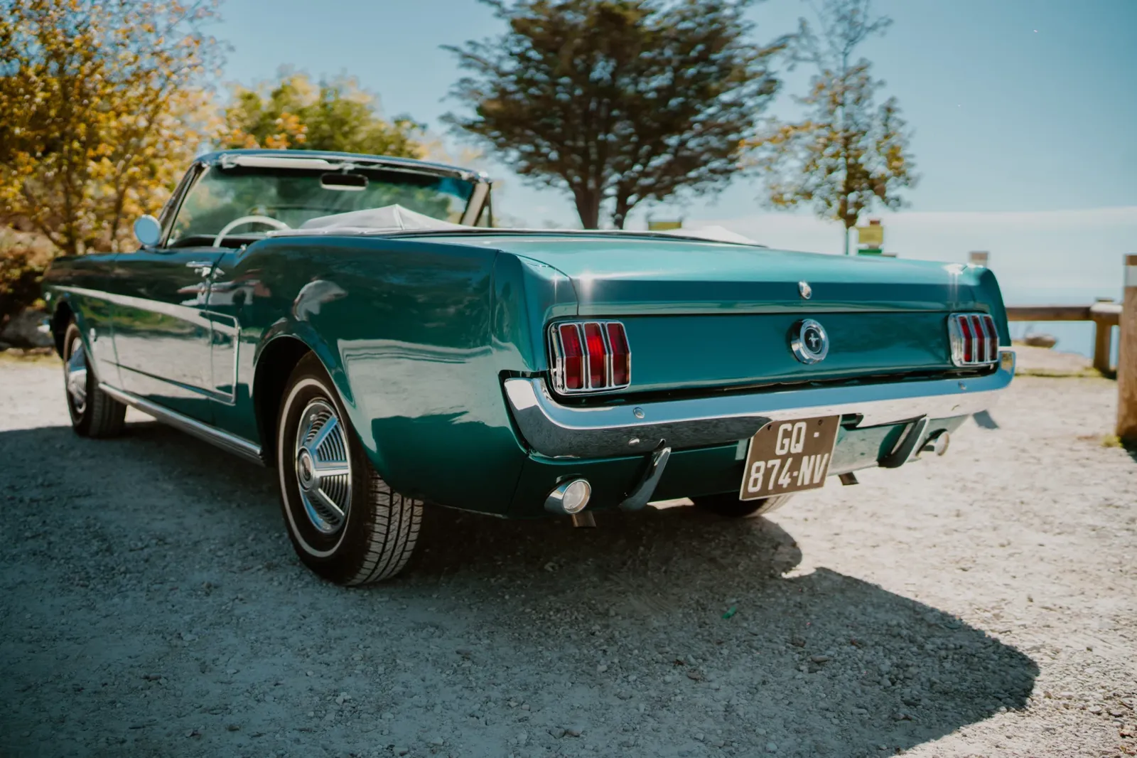 Ford Mustang V8 (3)