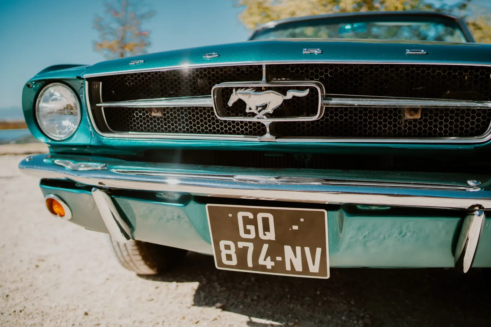 Ford Mustang V8 (5)