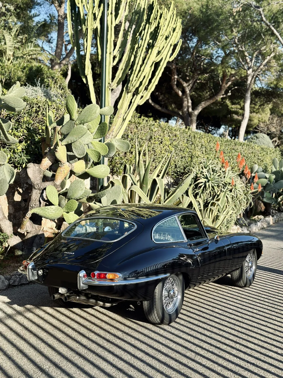 Jaguar type E (3)