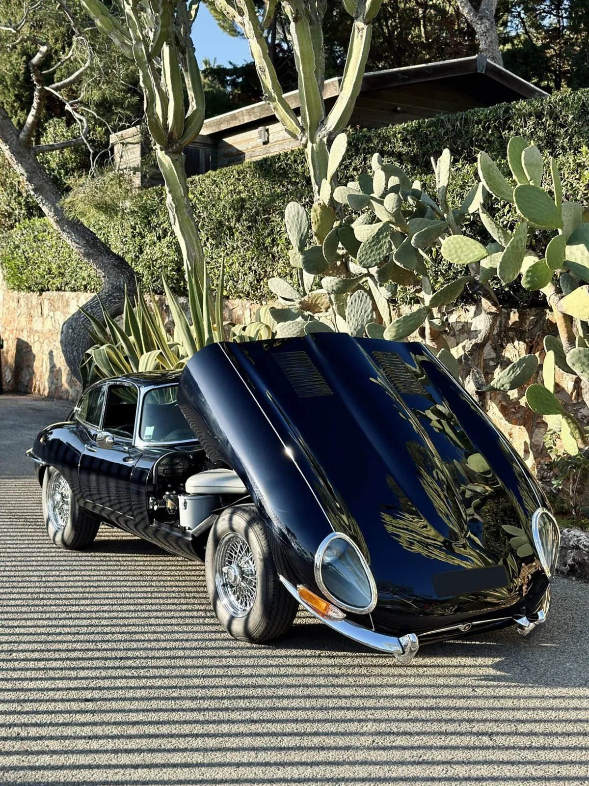 Jaguar type E (5)