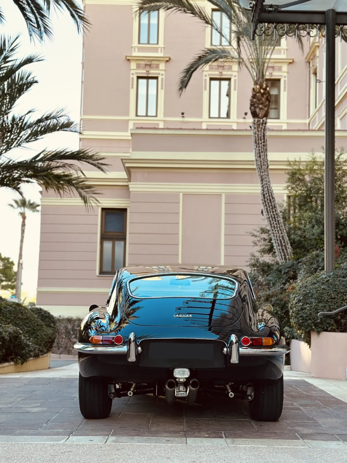 Jaguar type E (6)