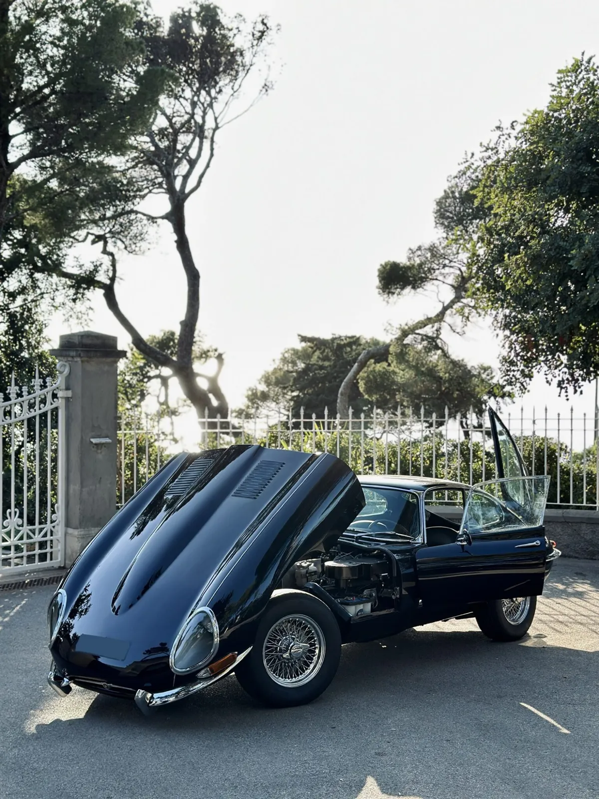 Jaguar type E (7)
