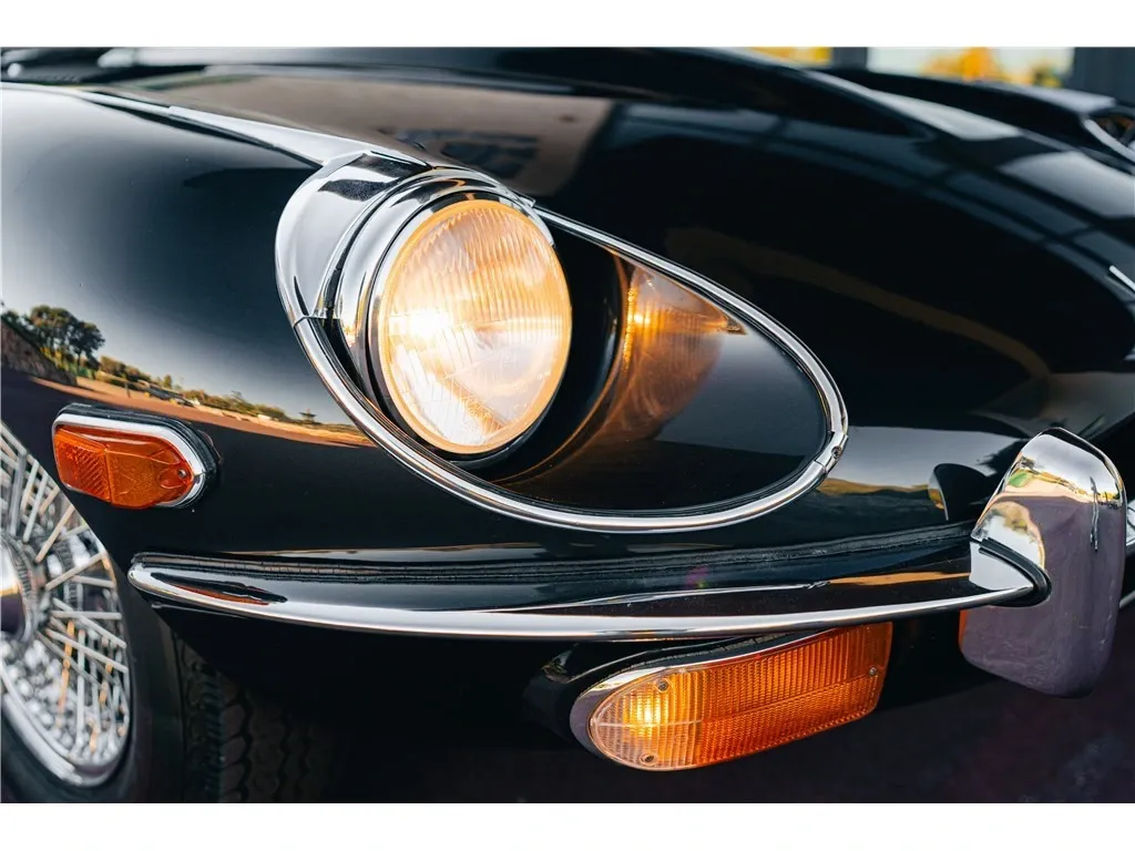 Jaguar type E (7)