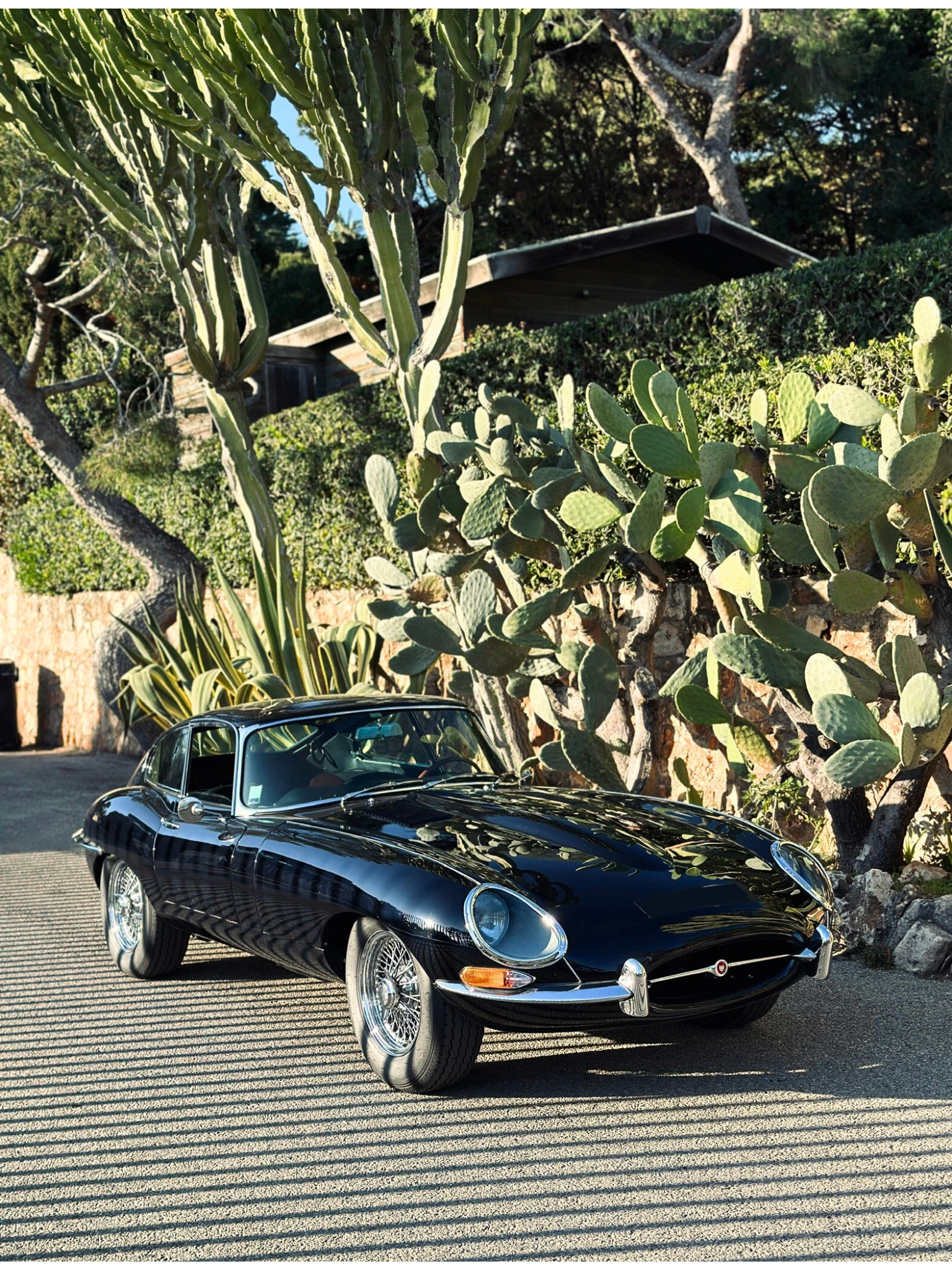 Jaguar Type E Roadster rental classic British sports car French Riviera.